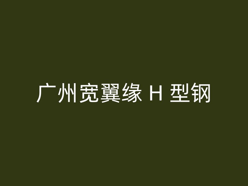 廣州寬翼緣 H 型鋼