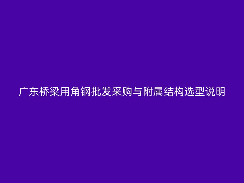 廣東橋梁用角鋼批發(fā)采購(gòu)與附屬結(jié)構(gòu)選型說(shuō)明
