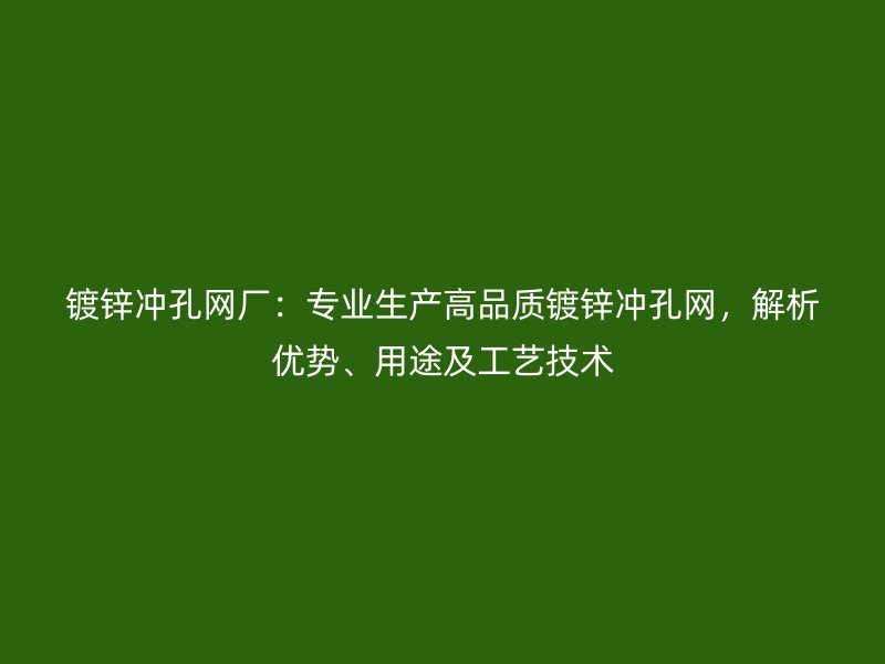 鍍鋅沖孔網廠:專業生產高品質鍍鋅沖孔網,解析優勢、用途及工藝技術