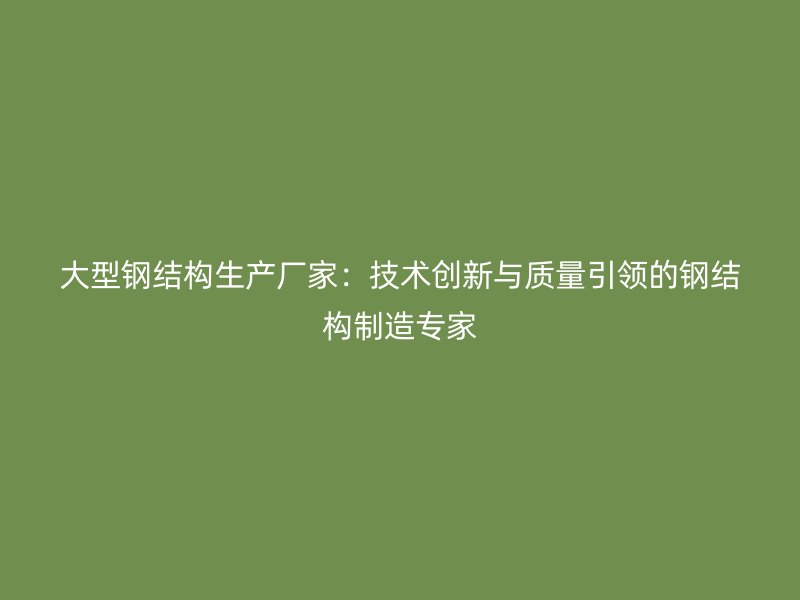 大型鋼結(jié)構(gòu)生產(chǎn)廠家：技術(shù)創(chuàng)新與質(zhì)量引領(lǐng)的鋼結(jié)構(gòu)制造專家