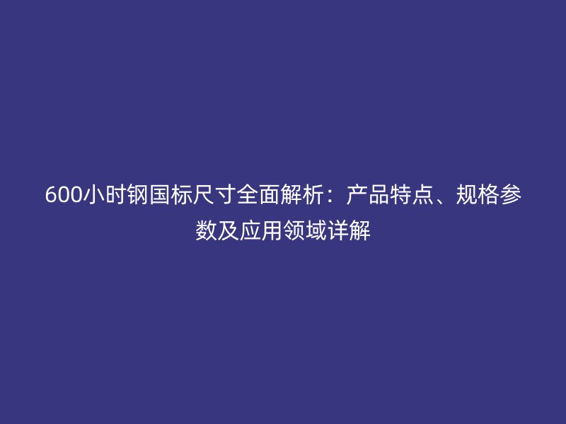 600小時鋼國標尺寸全面解析：產品特點、規格參數及應用領域詳解