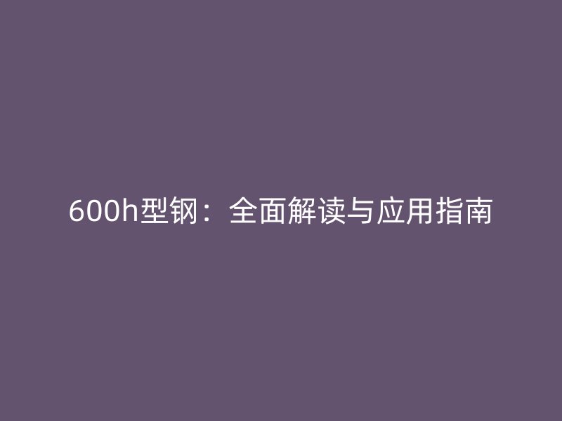 600h型鋼：全面解讀與應用指南